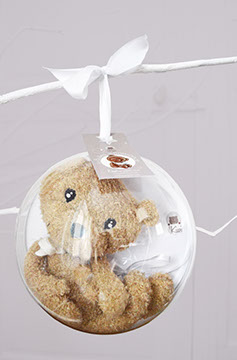 L'ours kiwi dans sa bulle